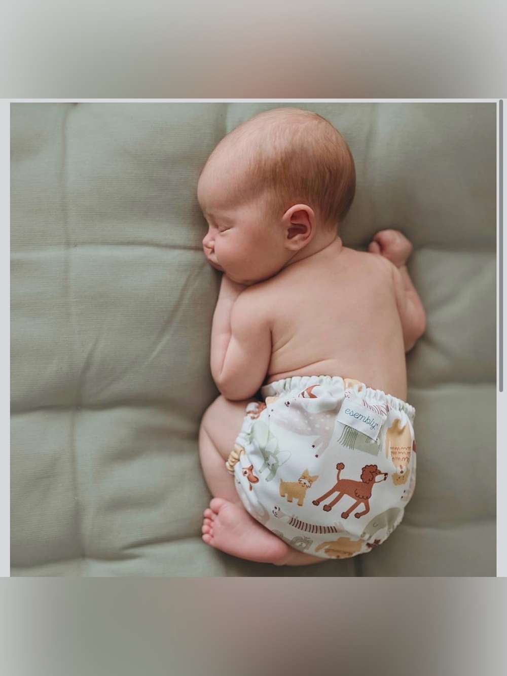 (3) NWT Esembly Cloth Diaper Cover - Reusable Swim Diaper, Waterproof